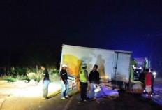 Kecelakaan Maut di Jalintim Palembang-Jambi, Truk Box Vs Bus NPM Satu Meninggal Dunia
