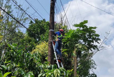 Kabel Jaringan PLN ICON Plus Dilakukan Penertiban, Bertujuan Demi Optimasi Keandalan Jaringan Kabel Optik Mini