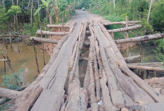 Warga Dana Cala Muba Menanti Perbaikan Jembatan Permanen, Selama Ini Melintas Jembatan Darurat 