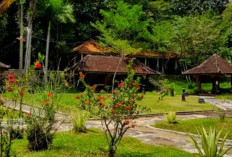 Misteri Air Asin di  Jawa Tengah, Mengungkap Lokasi Unik Selain Laut