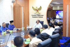 Wagub Cik Ujang Jadi Pembina, HIPMI Syariah Siap Jadi Motor Penggerak Ekonomi Halal di Sumsel