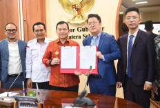 Bangun PLTS Kapasitas 300 MW dengan Perusahaan China TBEA