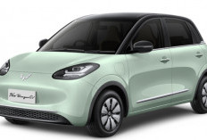 Wuling Binguo EV: Kombinasi Desain Klasik, Kenyamanan Luas dan Jarak Tempuh Optimal