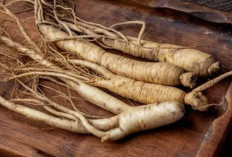 Ginseng, Akar Ajaib dengan Segudang Manfaat Kesehatan