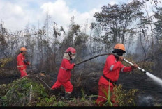 Nah Loh, Seluas 4 Hektar Lahan Terbakar di Banyuasin, Dugaan Sengaja Dibakar