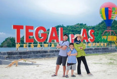 Pulau Tegal Mas: Surga Bagi Pecinta Alam dan Fotografi