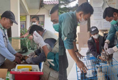 Antisipasi Virus Rabies, Dinas Pertanian Sediakan 300 Dosis Vaksin 