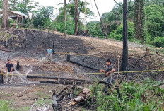 Kebakaran Sumur Minyak Ilegal Di Desa Keban I, Polsek Sanga Desa Tangkap Pelaku