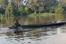 Debit Air Sungai Musi Naik, Disambut Gembira Para Nelayan di Sanga Desa, Incar Ikan Besar 