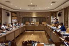 Progres Jembatan P6 Lalan Jauh dari Target, Pengusaha Batu Bara Dinilai Abaikan Komitmen