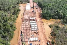 Mengenal Tol Tanjung Carat, Tol Baru di Sumsel yang Terhubung ke Pelabuhan Strategis