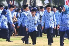 Kualifikasi, SD, dan SMP Prioritas PPPK 2024, Termasuk Satpol PP, Damkar 
