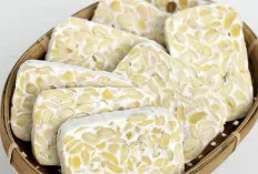 Mau Tahu Khasiat Tempe Rebus, Ini Nih Resep dan Membuatnya 