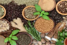 Lupakan Obat Mahal! Ini 10 Bahan Alami yang Ampuh Mengatasi Berbagai Penyakit