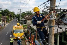  PLN Lakukan Pemeliharaan Jaringan, Sejumlah Wilayah di Muara Enim dan Ogan Ilir Alami Pemadaman Sementara