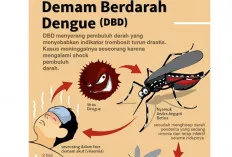 Meski Kasus DBD di Palembang Alami Penurunan, Dinkes Tetap Waspada 