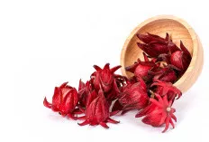 Rosela, Tanaman Herbal Serbaguna yang Cocok untuk Gaya Hidup Sehat
