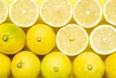 Siapa Bilang Asam Tak Menyehatkan? Inilah Keajaiban Lemon!