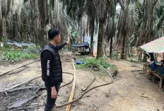Kapolsek Keluang : Kami Bertindak Tegas Terhadap Pengeboran Illegal
