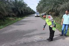 Tabrak Sapi, Pengendara Motor Ini Meninggal Ditempat 