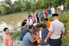 Warga Ogan Ilir Heboh, Mayat Kakek Ditemukan di Persawahan Sukaraja Baru