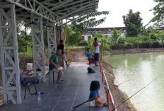 Healing Akhir Pekan dengan Memancing di Spot-spot Gacor Musi Banyuasin