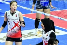 Gilas AI Peppers 3-1, Red Sparks Akhiri Trend Negatif di Korea V-League 2023-2024