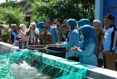 Tingkatkan Ekonomi Keluarga, Feby Deru Usulkan Kebun PKK Jadi Destinasi Wisata Edukasi
