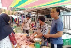 Minggu Kedua Ramadan, Harga Ayam Potong Masih Tinggi 