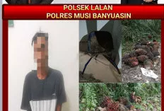Diduga Curi Buah Sawit, Mantan Karyawan BKI Diamankan POlsek Lalan 