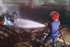 Kotak Sampah di Samping Gedung Dharma Wanita Sekayu Terbakar, Damkar Bergerak Cepat