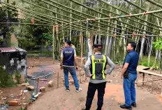 Polisi Bongkar Arena Judi Sabung Ayam di Desa Banuayu OKU
