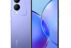 Vivo Y17s: Ponsel Entry-Level Bertenaga dengan Harga Semakin Bersahabat