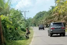 Jarak Pandang Pengendara Tidak Terhalang Lagi, Akses Jalinteng Sekayu – Linggau Sudah Dilakukan Tebas Bayang