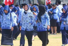 Aduh Bagaimana Ini, Bagi yang Lulus PPPK 2023 Tapi Belum Dapat NIP, Kembali Disuruh Ikut Tes Lagi Tahun Ini 