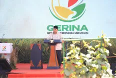 Presiden Prabowo Luncurkan GERINA dan Tanam Padi Nasional di Sumsel, Bersama 14 Provinsi
