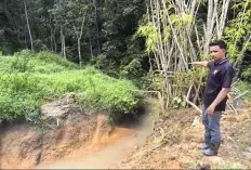 3 Anak Sungai Diduga Tercemar Limbah Berasa dari PT Batu Bara Lahat 