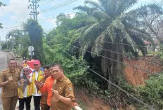 Erosi Ancam Jembatan Air Beliti, Lintas Sumatera Diterapkan Buka Tutup Jalan