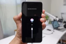 Langkah Cepat Mengatasi iPhone yang Tidak Bisa Disentuh, Jangan Buru-Buru ke Service