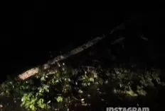 Cuaca Ekstrem Landa Sekayu: Angin Kencang Tumbangkan Pohon, Atap Rumah Rusak, Listrik Padam