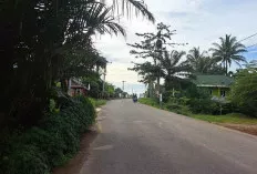 Akses Jalan Sungai Lilin-Keluang Belum Terpasang Penerangan Lampu Jalan, Warga Rindu