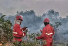 Karhutbunlah, Pemkab Banyuasin Tetapkan Status Siaga Darurat 