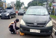 Tindak Tegas Kendaraan Parkir Sembarangan dengan Cara Gembok Roda Mobil, Pengendara Bingung?