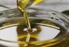 Minyak Zaitun, Lebih dari Sekadar Lemak Sehat: Rahasia Panjang Umur dan Kesehatan Optimal Terkuak