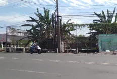 Digusur Satpol PP, Pedagang di Depan Disdukcapil Lubuk Linggau Minta Tempat Berjualan