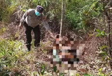 Polres Muara Enim Ungkap Kasus Pembunuhan Lansia di Gelumbang, Anak dan Cucu Jadi Tersangka