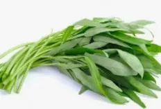 Kangkung: Sayuran Hijau Kaya Nutrisi dengan Segudang Manfaat Kesehatan