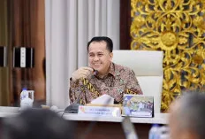 Pemprov Sumsel Segera Optimalisasi Lahan Rawa Seluas 98.400 Hektar