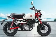 Pesona Ikonik yang Tak Lekang Oleh Waktu, Honda Monkey bagi Pecinta Otomotif