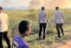 Kebakaran Lahan Gambut Melanda Indralaya Utara, Tim Gabungan Terus Lakukan Pemadaman